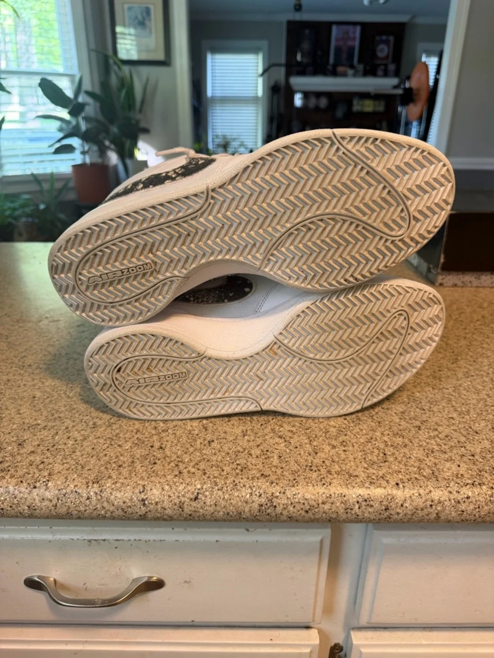 Book Chapter 1 “Rattlesnake” - Picture 6 of 6